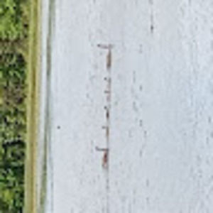 Meet your Posher, Flora